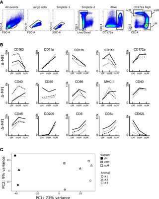 Monocyte biology conserved across species: Functional insights from cattle